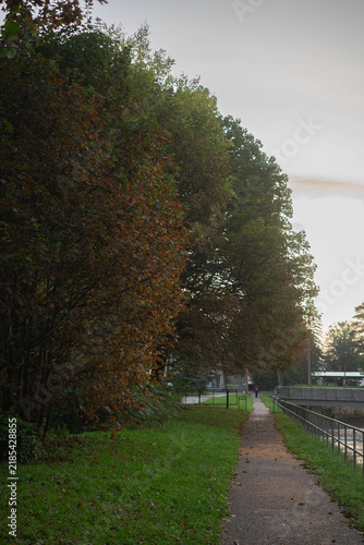 Obraz na plátně Autumn foliage city park walkway copy space background image, bokeh backgrounds