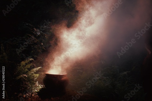 Smoking cauldron in dark forest with rising steam and fern foliage for mystical background and ritual design