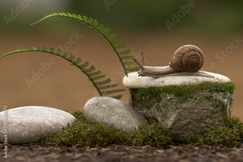 Photorealistic snail crawling on mossy stone beside fern fronds