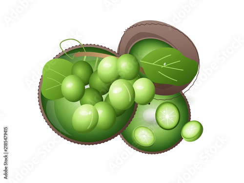 Fresh green grapes and sliced kiwi fruits arranged on white