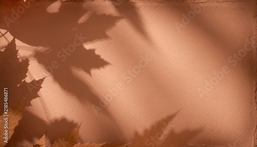 Autumn leaves shadows textured background with warm brown tones, nostalgic mood, copy space for seasonal greeting card, invitation, or nature-inspired design.