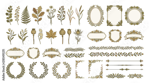 Collection of vintage botanical floral elements, hand-drawn branches, frames, wreaths, dividers, and decorative badges in a retro engraving engraving style