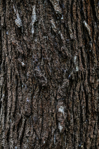 Foto side view of empty old wooden with cracks