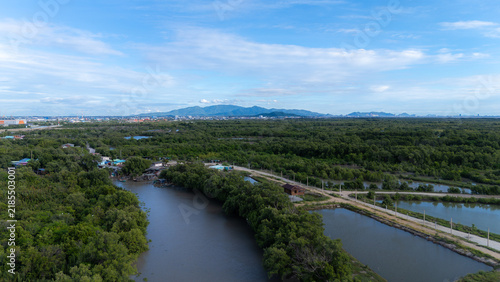 An aerial view of a mangrove forest with a river in the background and mountains.