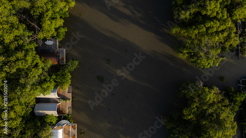 An aerial view of a mangrove forest with a river on both banks, lined with mangrove trees.