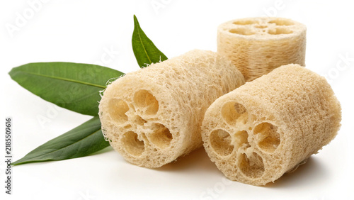 Natural dried loofah sponge with fibrous texture