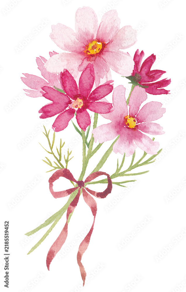 Fototapeta premium 水彩で描いたコスモスの花束