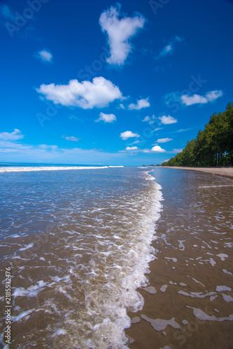 Tropical beach landscape with coconut palm trees, clear blue sky, and peaceful coastal scenery under bright sunlight. Beautiful summer vacation and tropical paradise background.