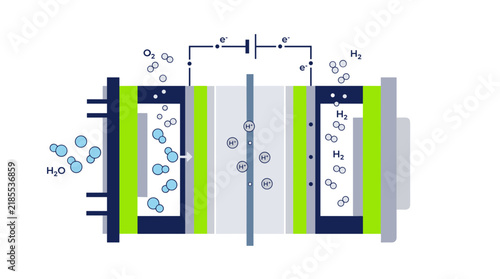 Hydrogen electrolyzer diagram showing water electrolysis process, green energy fuel cell vector illustration, renewable hydrogen production system with proton exchange membrane and electrodes
