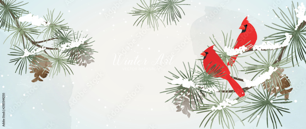 Obraz premium Winter botanical background vector with red cardinal bird, pine branches and soft watercolor foliage on elegant cream seasonal design