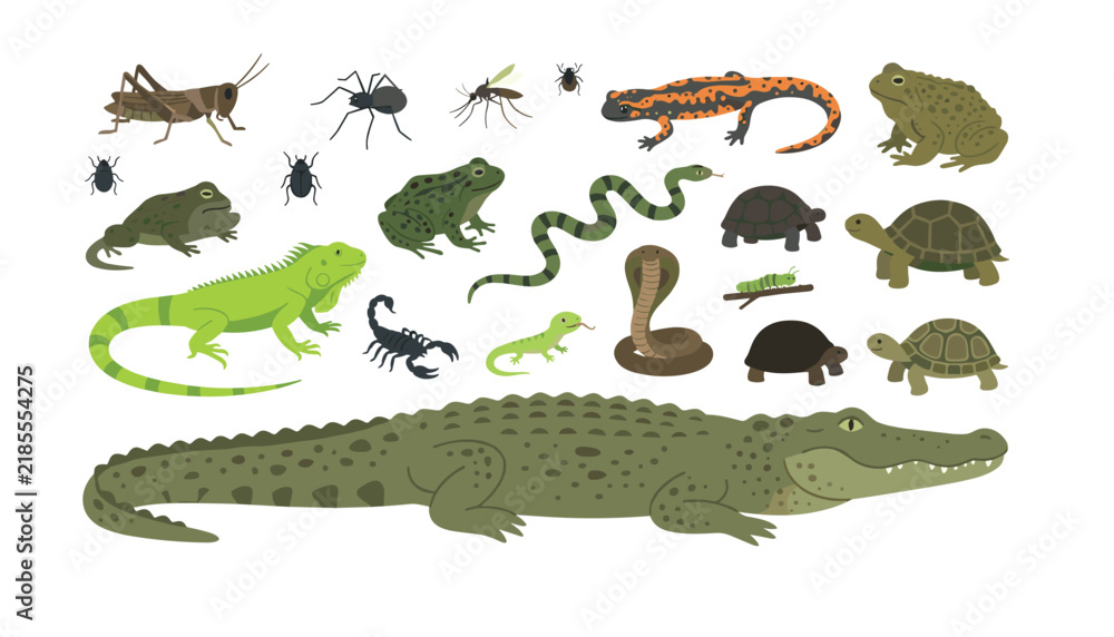 Fototapeta premium Reptiles amphibians and insects vector collection featuring alligator iguana frogs turtles snakes salamander scorpion spider grasshopper and beetles