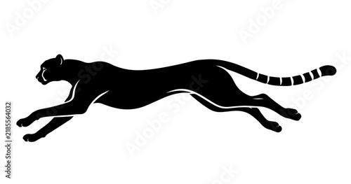 Photography horse silhouette vector