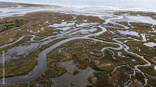Aerial view of a winding tidal marsh with meandering waterways and coastal vegetation