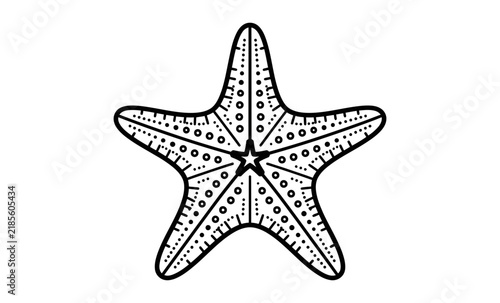 Starfish Decorative Outline Vector Illustration