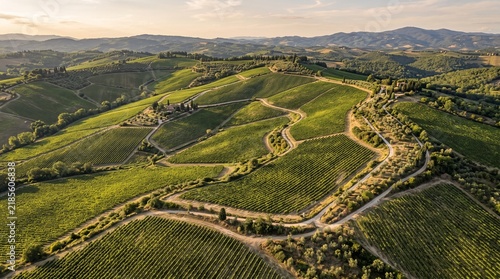 Rolling Tuscan Hills Covered in Lush Green Vineyards and Olive Groves Under Golden Hour Sunlight