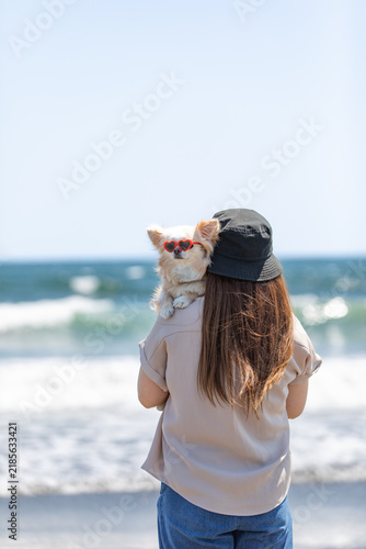 海辺の女性の肩からこちらを見る白チワワ