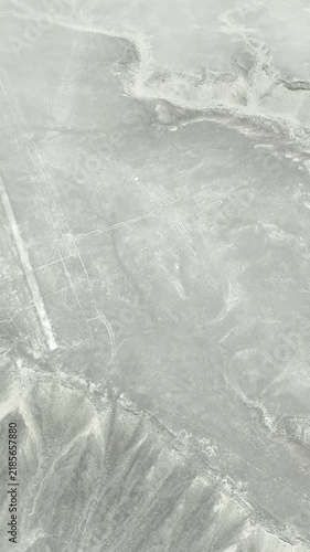 ナスカの地上絵 セスナ 空撮 ペルー