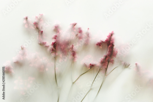 Soft pastel floral blur background with delicate pink blossom