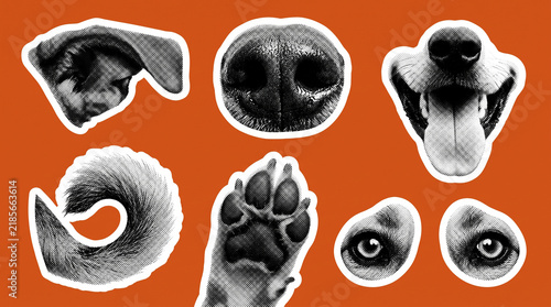 Dog body parts represented as creative halftone sticker collection set on a bright orange background surface
