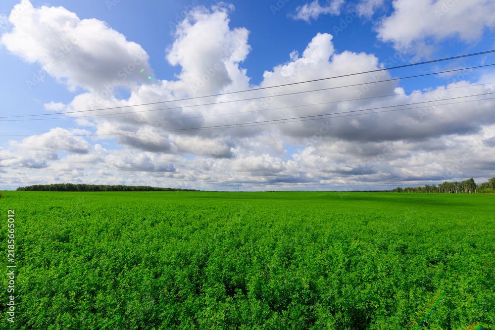 Obraz premium Green field with power lines under cloudy sky