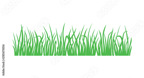 Картината върху платно Green grass blades form a decorative border on a white background