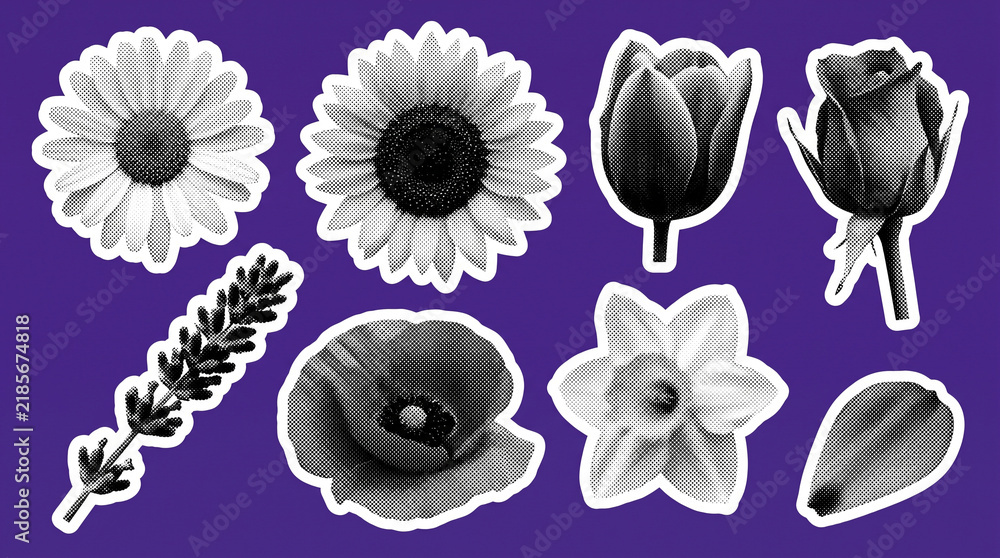 Obraz premium Set of various botanical flowers illustrated with a vintage halftone print effect against purple background