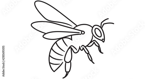 Line drawing of a honeybee on a white background depicts insect anatomy