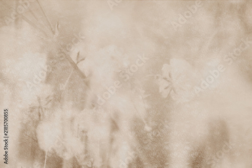 Abstract blurry autumn atmosphere plant background