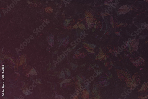 Dark brown abstract plant background