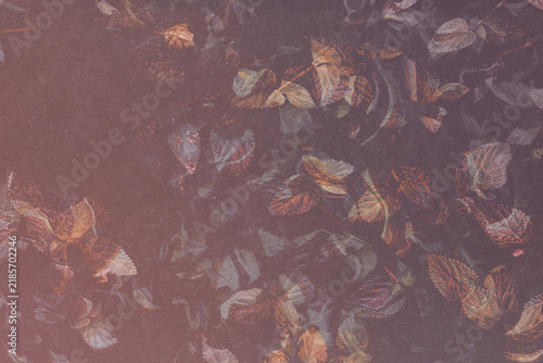 Abstract Fall Vibes Botanical Background