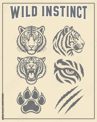 Tiger Head and Claw Marks Wildlife Vector Illustration Set