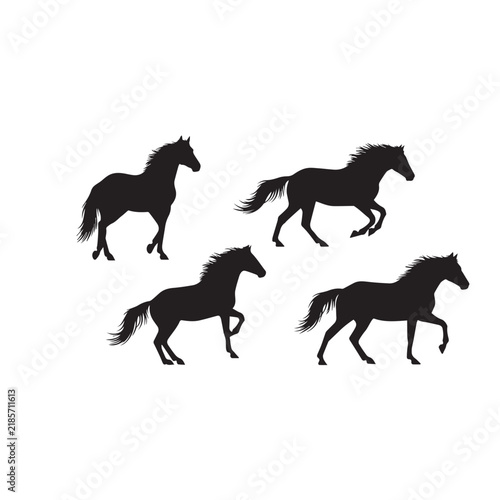 Mustang Horse Silhouette Vector Set
Wild Mustang Horse Black Silhouette
Horse Silhouette Black and White Illustration