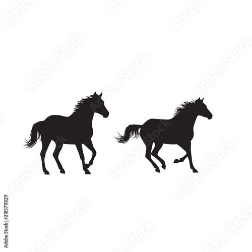 Mustang Horse Silhouette Vector Set
Wild Mustang Horse Black Silhouette
Horse Silhouette Black and White Illustration