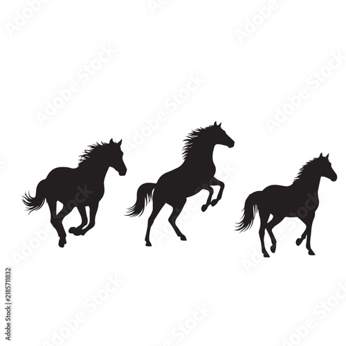 Mustang Horse Silhouette Vector Set
Wild Mustang Horse Black Silhouette
Horse Silhouette Black and White Illustration