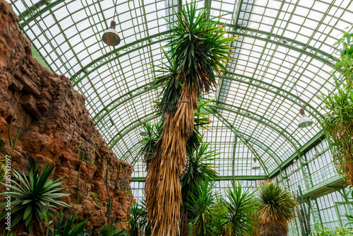 Canvas Print Desert House in Vienna serves as an immersive botanical garden, promoting plant heritage ecotourism and sustainable exploration