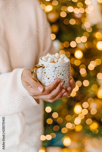 Hands holding cup cocoa marshmallows Christmas lights