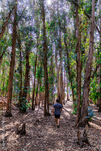 Exploring Morro Dunes Natural Preserve in Montana de Oro State Park