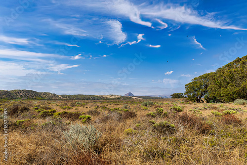 Exploring Morro Dunes Natural Preserve in Montana de Oro State Park