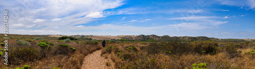 Exploring Morro Dunes Natural Preserve in Montana de Oro State Park