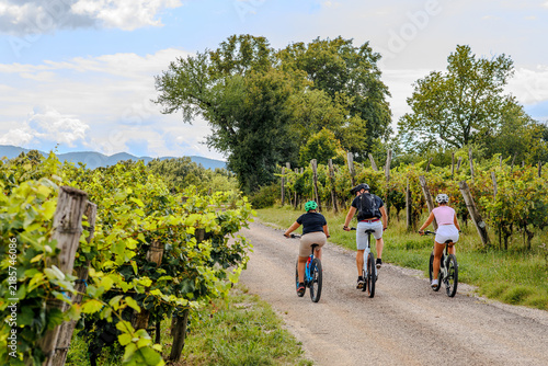 Family Cycling Through Vineyards in Scenic Slovenian Karst