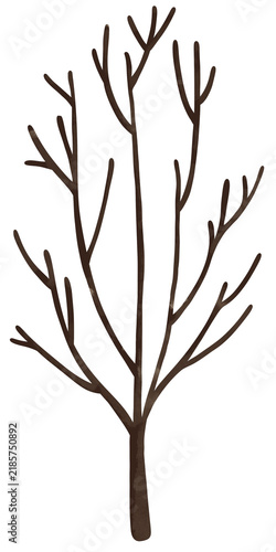 Brown Bare Winter Tree Branches Illustration Isolated on Transparent Background