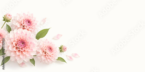 Minimal Pink Dahlia Floral Banner on White Background