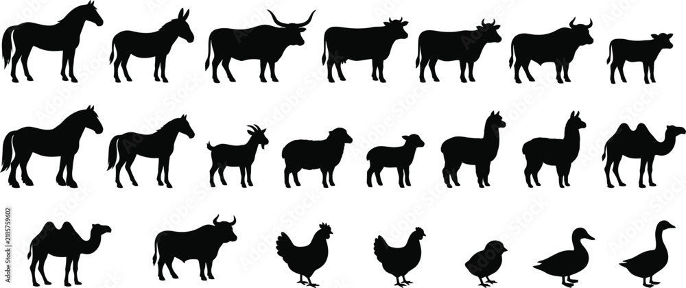 Fototapeta premium A diverse collection of black silhouettes depicting common farm animals such as horses cows sheep goats poultry and various other livestock options