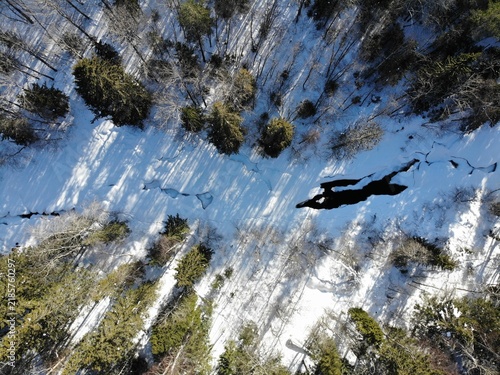 Aerial view of a frozen stream through snowy forest