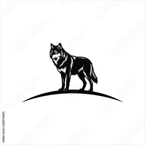 Wolf standing on curved hill with alert expression during daytime vector illustration isolated on white background
