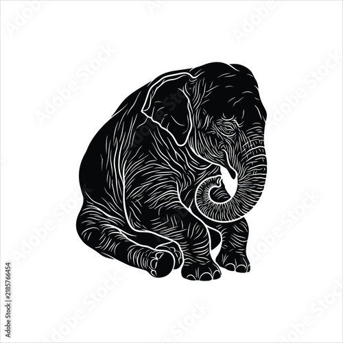 Young elephant sitting with trunk curled in peaceful repose during daytime Isolated on white background