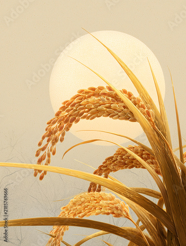 Autumn Harvest �� Bountiful Rice Ears