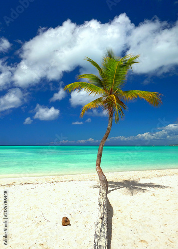 Obraz na płótnie Sunny Island Beach in the Caribbean with Crystal Clear Turquoise Water