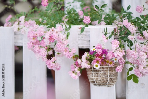 flowers in a pot