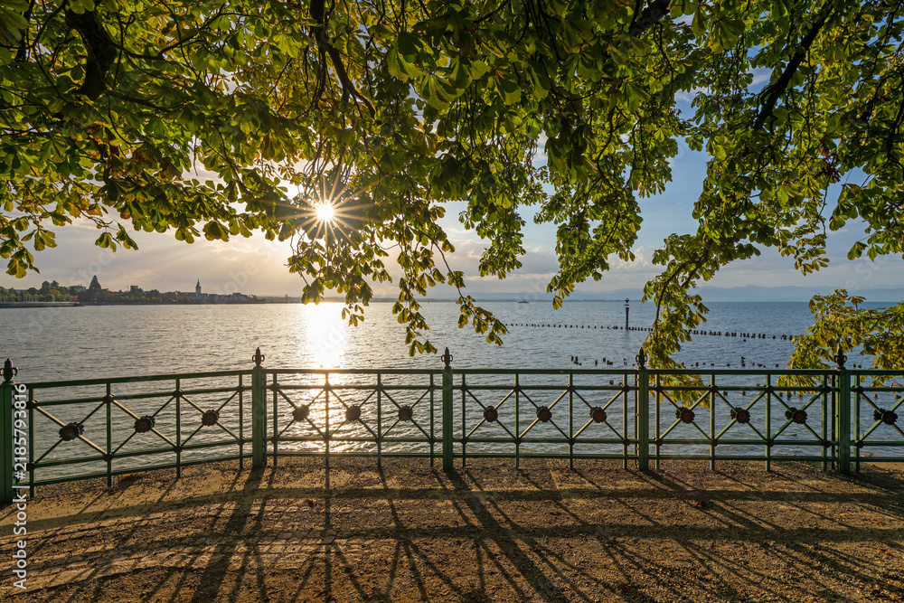 Obraz premium Golden morning sunlight shines through leafy chestnut tree branches along a scenic lakeside promenade at sunrise.